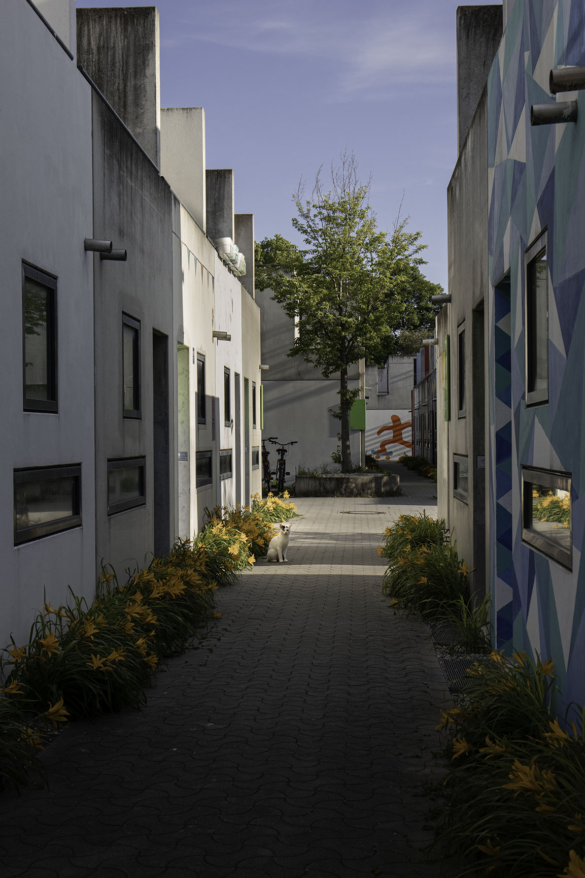 Bemalte Betonbungalows, vor einem sitzt eine Katze